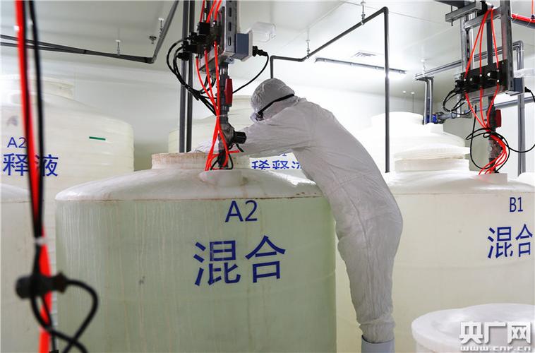 中科三安植物工厂技术人员在检测产品(央广记者黄光辉摄)